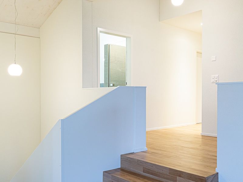 mollis 1169 mollis 1169