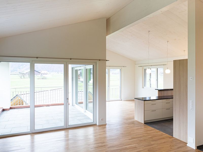 mollis 1169 mollis 1169