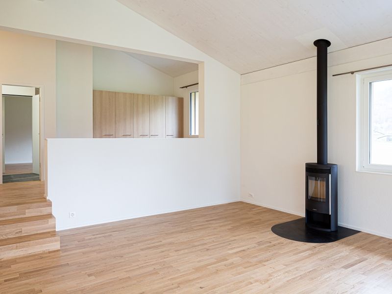 mollis 1169 mollis 1169